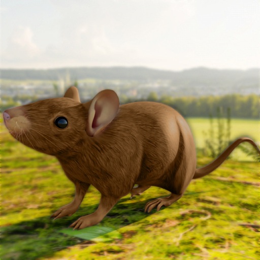 Mouse Simulator- Family Life app reviews download
