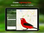 all birds colombia field guide ipad images 4