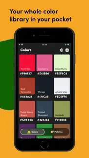 litur - find your colors iPhone Captures Décran 1
