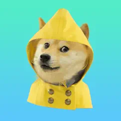 doge weather logo, reviews