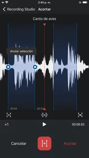 grabadora de voz pro - audio iphone capturas de pantalla 3
