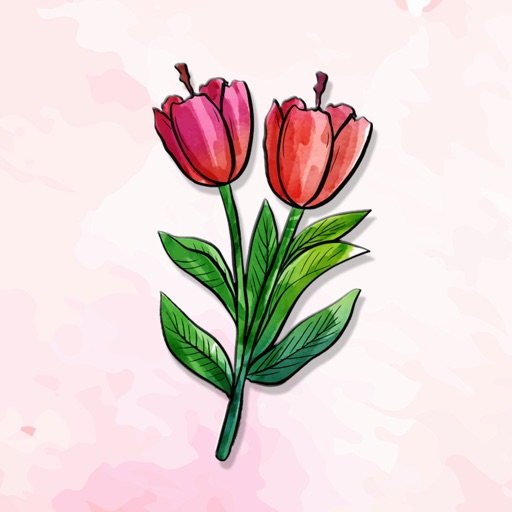 Natural Flower Dairy Stickers app reviews download