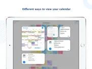 tiny calendar: planner & tasks айпад изображения 4