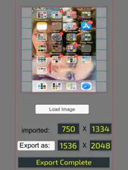 pixel resizer: custom metadata ipad images 3