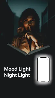 flashlight -torch light widget iphone images 1