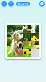 slide block puzzle iphone images 3