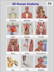 3d anatomy learning ipad resimleri 3