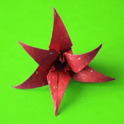 flores origami revisión, comentarios