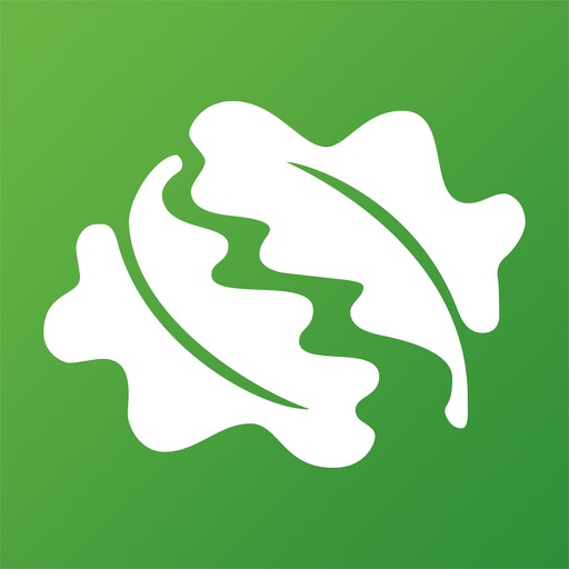 British tree identification app reviews download