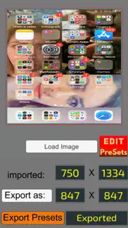 pixel resizer: custom metadata iphone images 2