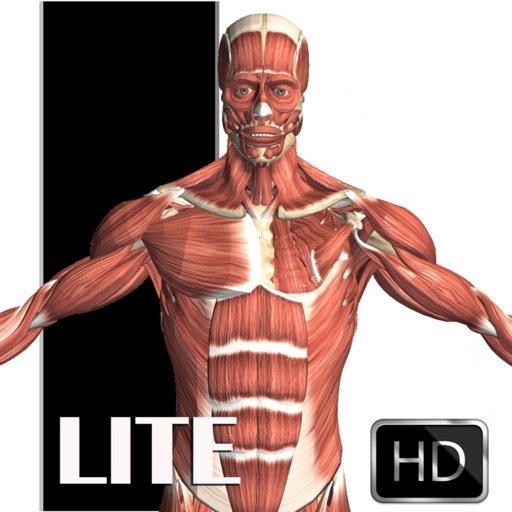 Visual Anatomy Lite app reviews download