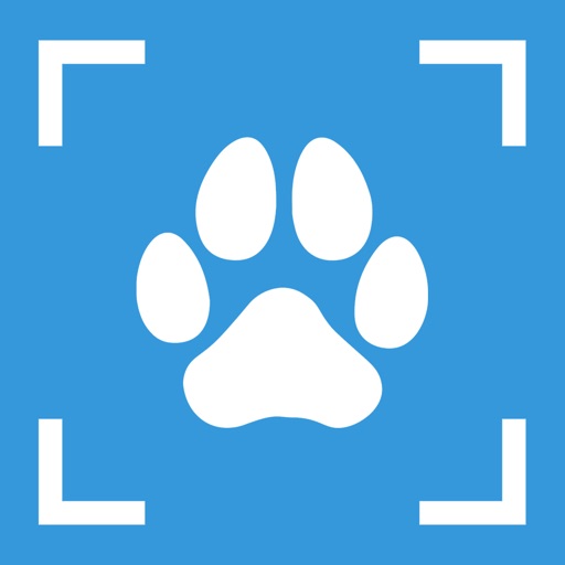 Dog Breed Identifier - PupDex app reviews download