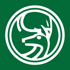 june mountain logo, reviews