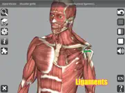 3d anatomy ipad resimleri 4