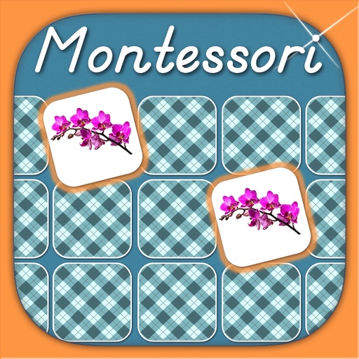 Montessori Memory Matching Fun app reviews download