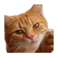 cat photo sticker logo, reviews