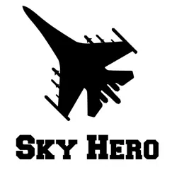 air force sky fighter jet game commentaires & critiques