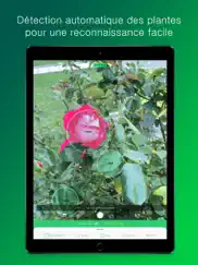 plantsnap - identify plants iPad Captures Décran 2