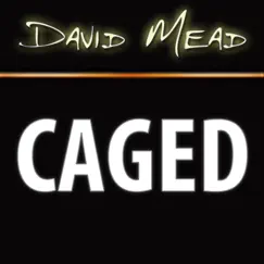 david mead : caged logo, reviews