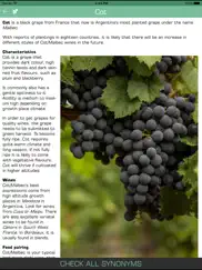 200+ wine grapes айпад изображения 1