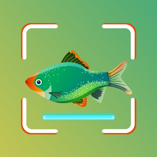 Fish ID - Fish Identifier app reviews download