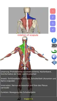 visual anatomy lite iphone bildschirmfoto 2