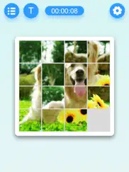 slide block puzzle ipad images 3
