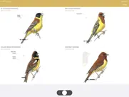 collins bird guide ipad capturas de pantalla 4