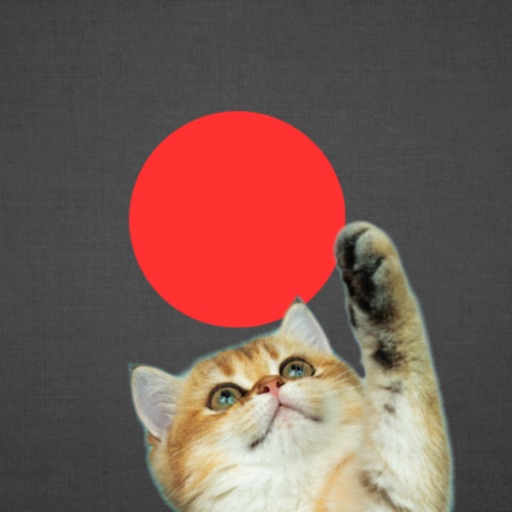 Classic Red Dot app reviews download
