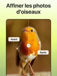 picture bird - oiseaux id iPad Captures Décran 3