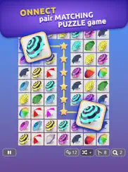 onnect – pair matching puzzle ipad images 3