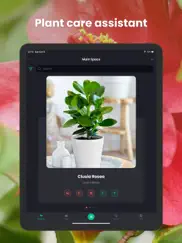 plantin: plante reconnaissance iPad Captures Décran 2