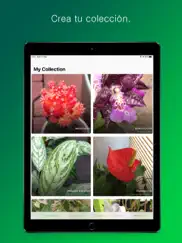 plantsnap - identify plants ipad capturas de pantalla 4