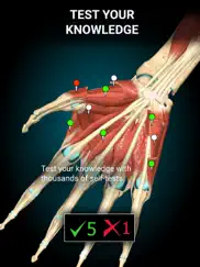 anatomy learning - 3d anatomy ipad resimleri 2