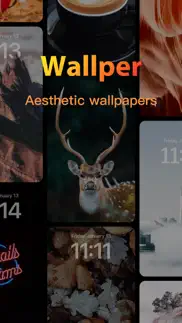 wallper-aesthetic wallpapers iphone images 1