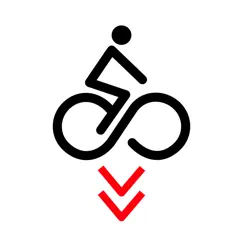 zaragoza bici logo, reviews