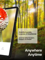 picture mushroom: fungi finder ipad images 2