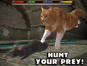 ultimate cat simulator ipad images 2