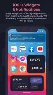 balancebuddy: money management iphone images 2
