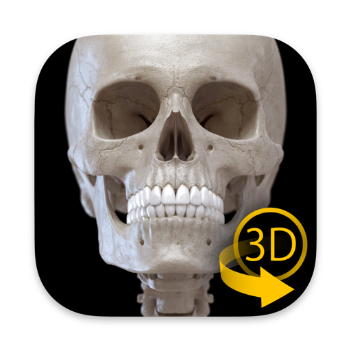 squelette anatomie 3d commentaires & critiques
