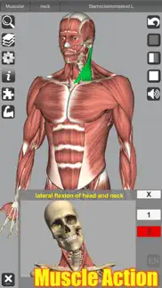 3d anatomy iphone capturas de pantalla 1