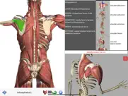 visual anatomy ipad images 3
