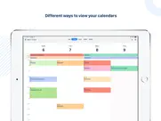 tiny calendar: planner & tasks ipad images 2
