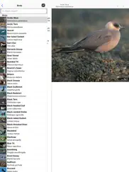 collins british wildlife ipad images 2
