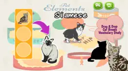 cats and kittens shadow matching game iphone images 1