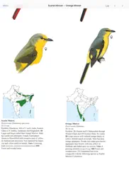 eguide to birds of the indian subcontinent ipad images 4