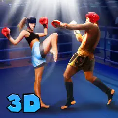 kickboxing fighting master 3d logo, reviews