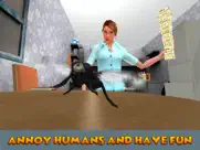 house fly insect survival simulator ipad images 4
