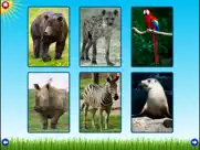 zoo sounds lite - a fun animal sound game for kids ipad images 2