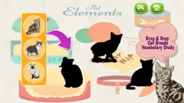 cats and kittens shadow matching game iphone images 3